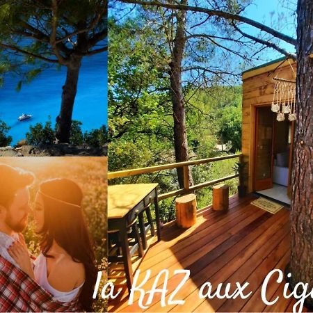 Cabane Dans Les Arbres "La Kaz Aux Cigales" Cuers Eksteriør bilde