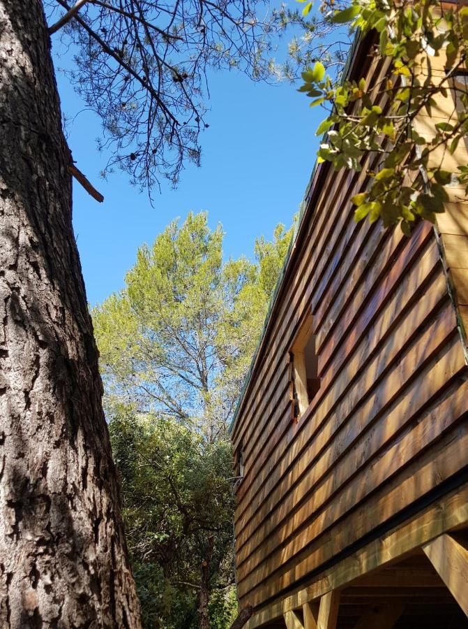 Cabane Dans Les Arbres "La Kaz Aux Cigales" Cuers Eksteriør bilde