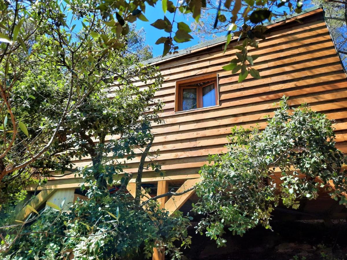 Cabane Dans Les Arbres "La Kaz Aux Cigales" Cuers Eksteriør bilde